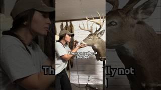 I use an airbrush to paint all my animals  #taxidermy #taxidermist #airbrush #painting