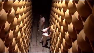 The Making of Parmigiano Reggiano Cheese - Part 1