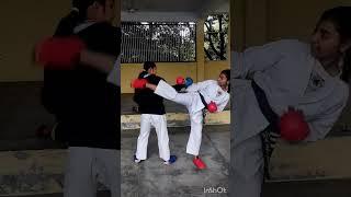 Karate Kumite Practice || #viperkarateclub #karate #fight #karatedo #kick #karatekid #kumite