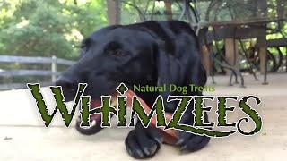 WHIMZEES Dental Chews - Why We Love Them