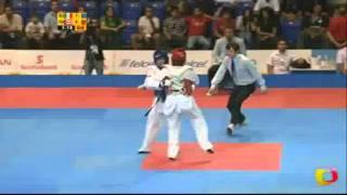 Guadalupe Ruiz (MEX) v Nikki Martinez (PUR) | Taekwondo at the 2011 Pan Am Games