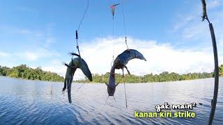 NGERII.!! mancing toman besar umpan kadal strike kanan kiri