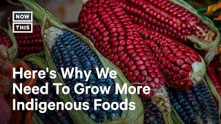 Why We Need to Grow More Indigenous Foods