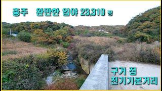 충북임야 충주 완만한 임야, 15도전후,가축사육도 가능