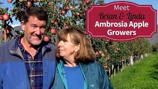 Organic Ambrosia Apple Growers Brian Mennell & Linda Edwards