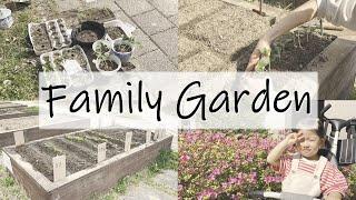 EP. 11 / Family Garden / 아파트 텃밭 가꾸기 / 직접 키운 모종 옮겨심기 / 초보 가드너 / 텃밭에 뿌린 씨앗들 무럭무럭 새싹 나기