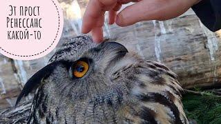 Eagle owl Yoll with a new third egg and little guests in the aviary. Why don't I take the eggs?