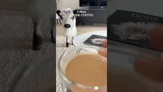 You won't believe this baby cows morning routine! #shorts