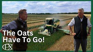 Why We Whole Cropped the Oats – A Tough Farming Call