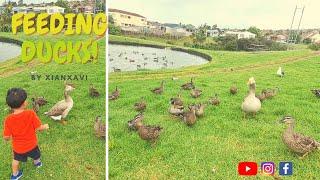 Kids Feeding  Ducks