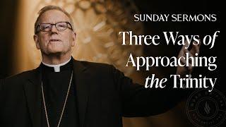 Three Ways of Approaching the Trinity - Bishop Barron's Sunday Sermon