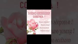 С днём рождения,  Соня!