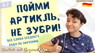  Как понять артикль, как не учить тысячи артиклей среднего рода. Поговорим сегодня