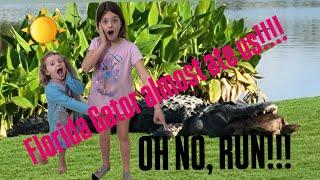 A DAY IN FLORIDA, an ALLIGATOR almost ate us!!!