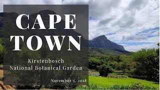 Kirstenbosch National Botanical Garden - Cape Town - South Africa