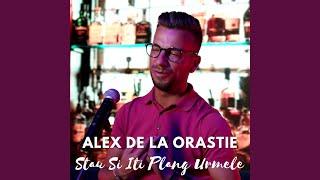 Stau Si Iti Plang Urmele (Cover)