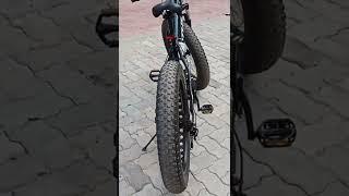 Beast of Fat bike