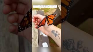 This girl rescued a butterfly that was trapped in a car headlight and then #animalshorts