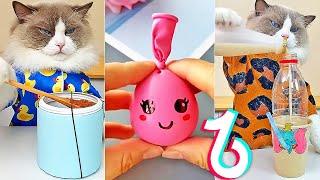 El Mejor Gato Chef de Tik Tok - That Little Puff ASMR Compilation 06