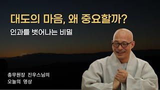 대도의 마음, 왜 중요할까? 인과를 벗어나는 비밀 | 두려움 없애는 힘을 가진다 - 행복으로 가는 선명상 - 진우스님의 오늘의 명상 #진우스님 #선명상 #개미의 발소리