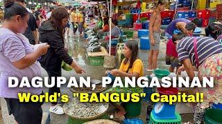 Downtown DAGUPAN CITY, PANGASINAN | Explore the Streets, Food Markets of Dagupan, Philippines