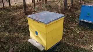 Приготовление и обработка пчел БИПИНОМ