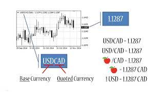 Base & Quoted Currencies