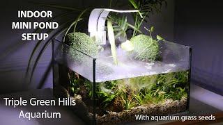 Triple Green Hills Mini Pond Aquarium Setup with Aquarium Grass Seeds