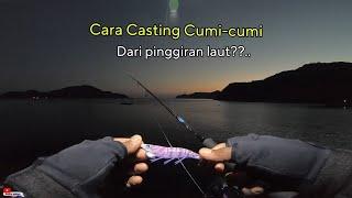 Bagaimana Cara Mancing Cumi-cumi dari Pinggiran Laut? Squid Fishing [ Eging].