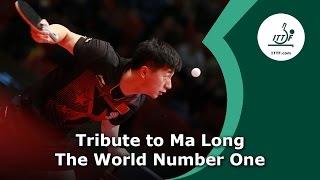 Tribute to Ma Long - The World Number 1