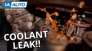 How to Find Hidden Coolant Leaks in Your Car or Truck, and Know What Parts You Will Need to Replace!