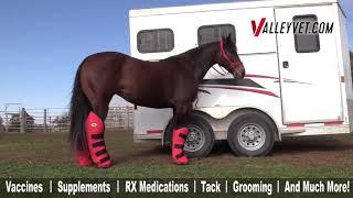 Valley Vet Supply- Equine