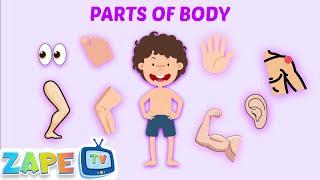 Body Parts Song for Kids | Fun Learning Through Music || Zape TV