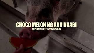 CHOCO MELON NG ABU DHABI - Appendix | 3210 | Ocho Kabilog