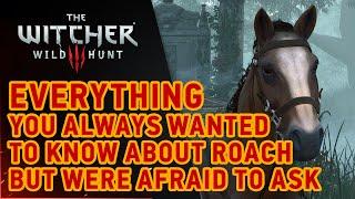 The Witcher 3: Wild Hunt - Roach