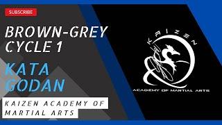 BROWN-GREY GODAN / Kaizen Academy of Martial Arts
