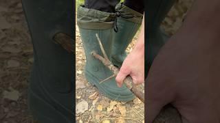 The guy shows SURVIVAL skills in the FOREST  #camping #survival #bushcraft #outdoors #lifehack