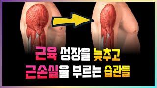 운동해도 근육 안 자라고 쉬면 근손실 오는 이유들