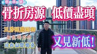 低價盡頭 骨折房源 再見低價房｜惠州十里銀灘五期維港灣 3房兩廳兩衛｜南向無敵海景｜品質生活 理想追求#惠州樓盤#惠州筍盤#十里銀灘 #房地產