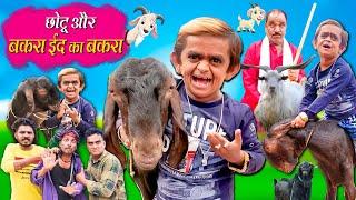 CHOTU KI BAKRA EID KA BAKRA | छोटू की बकरा ईद का बकरा |