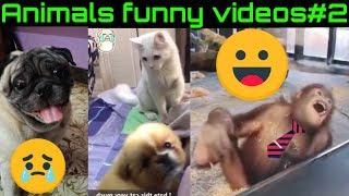 Animals funny videosTamil #2||cat,dog funny moments captured|| trend zone tamil