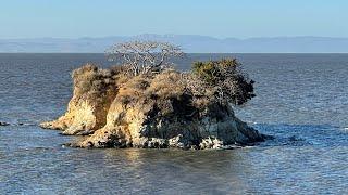 CALIFORNIA COASTAL CAMPING | China Camp State Park