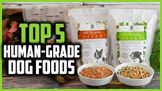 Top Best Human Grade Dog Foods of 2024