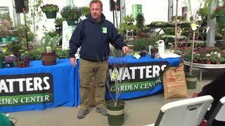 Watters Garden Center Spring Open House - Civano "Southwestern Plants"