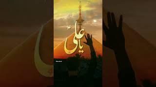 Janum Ali Aliع #nadeemsarwar #yaali #haider