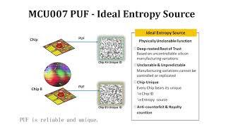 PUF=Physical unclonable function