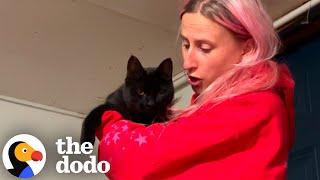 Stray Black Cat Walks Right Into Her Boyfriend's House... | The Dodo