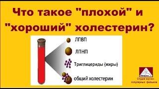 Что такое плохой и хороший холестерин?