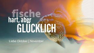 Fische Liebe Oktober | November: Hart, aber glücklich️‍