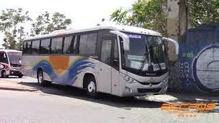 Marcopolo Ideale 800 / Mercedes Benz / Buses Paine